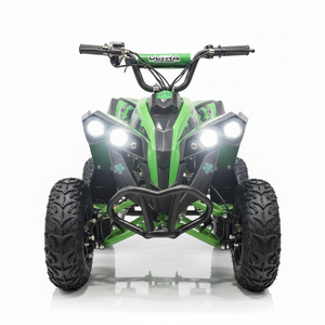 CarKiddo | Elektrische Kinderquad 1000W Groen