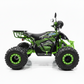 CarKiddo | Elektrische Quad 1500W - Groen