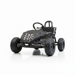 Elektrische buggy EXTREME 1000W Zwart