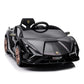 Lamborghini Sian | Elektrische Kinderauto - Zwart
