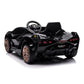 Lamborghini Sian | Elektrische Kinderauto - Zwart