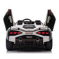 Lamborghini Sian | Kinderauto 2-Persoons 24V  - Wit