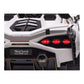 Lamborghini Sian | Kinderauto 2-Persoons 24V  - Wit