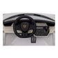 Lamborghini Sian | Kinderauto 2-Persoons 24V  - Wit
