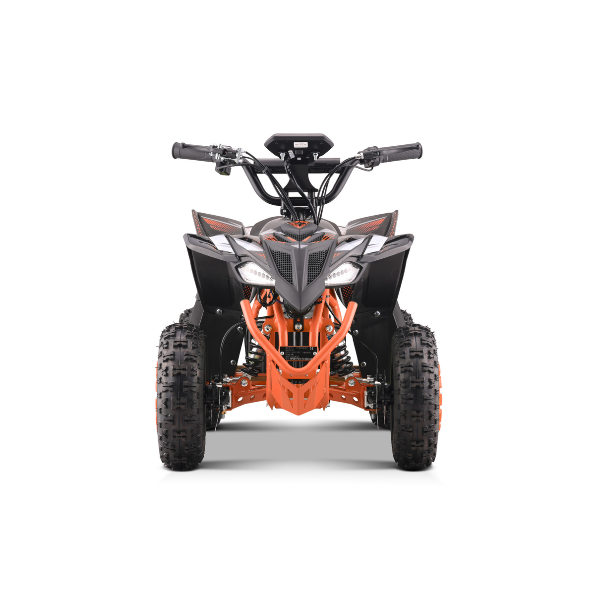 Panthera Tigris Orange - Vorderansicht