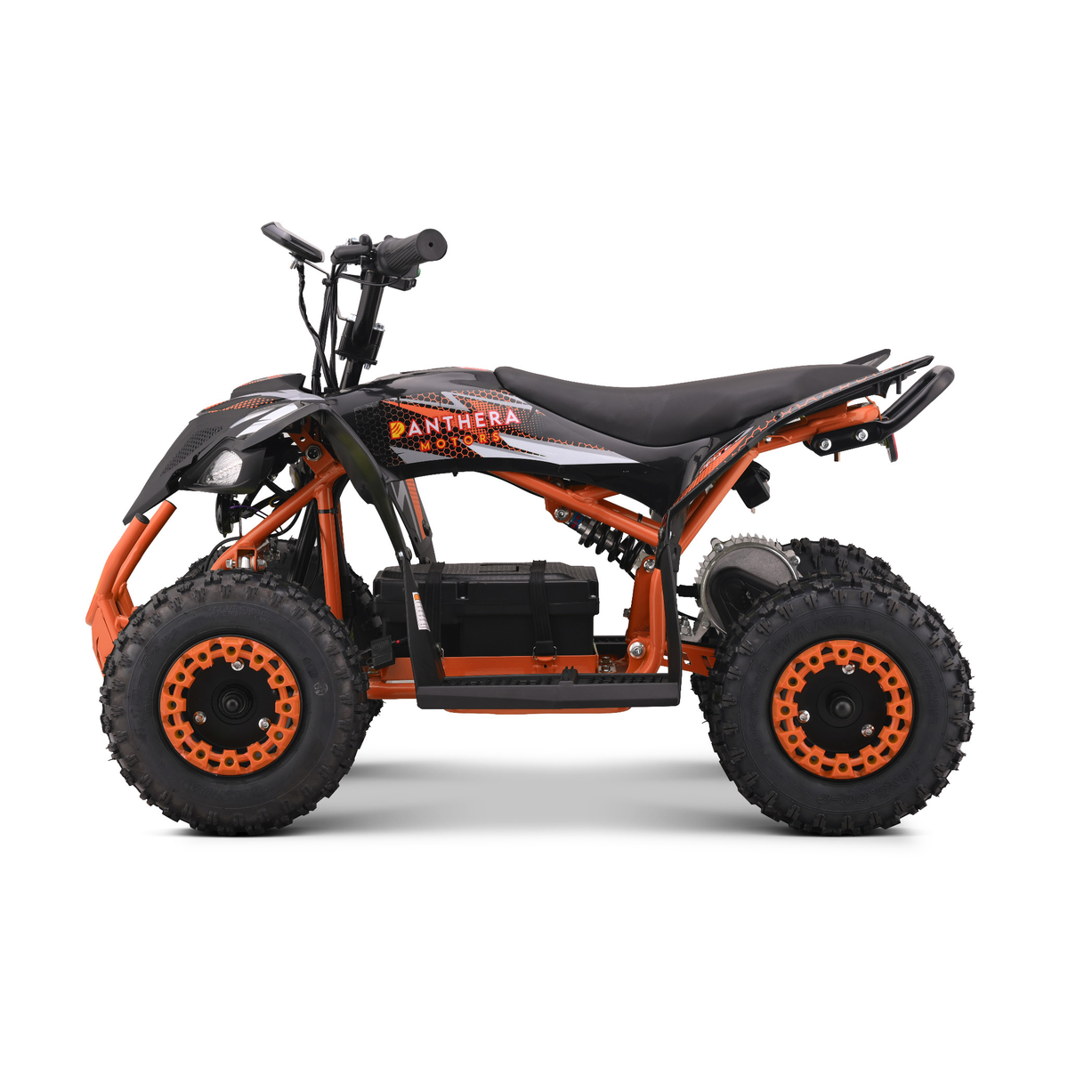 Panthera Tigris Orange - Seitenansicht