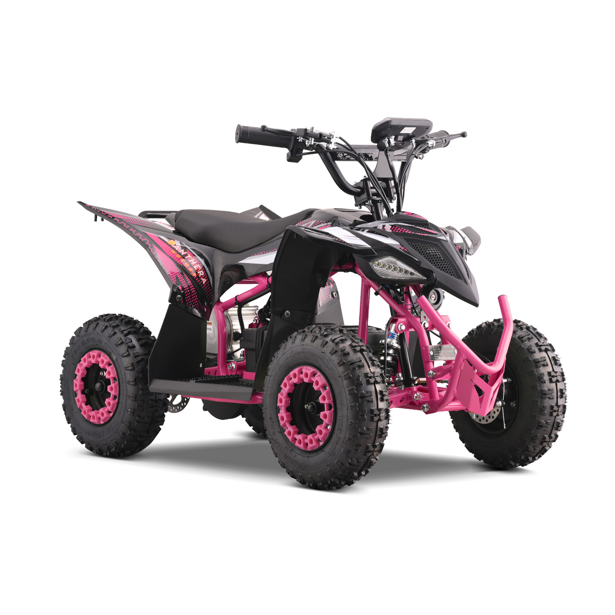 Panthera Tigris Rosa - schräge Vorderansicht